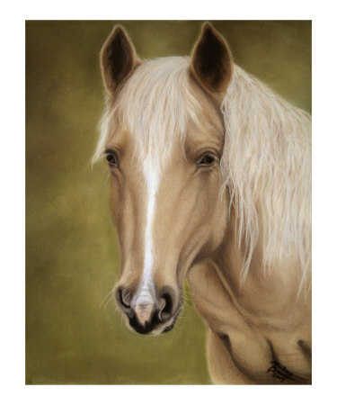 Palomino Beauty Giclee Print Palomino Beauty Giclee Print