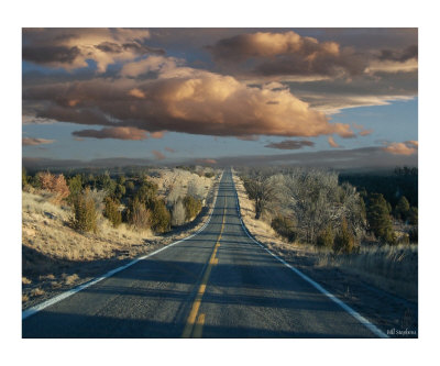 The Trip Giclee Print The Trip Giclee Print