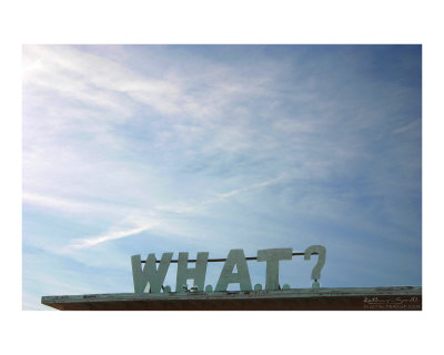 W.H.A.T.? Other W.H.A.T.? Other