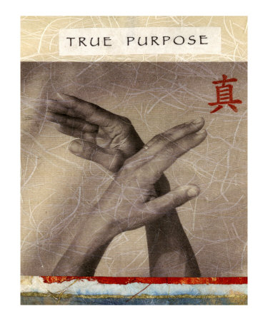 True Purpose Other True Purpose Other
