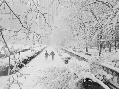 Couple Walking Through Park in Snow Stretched Canvas Print