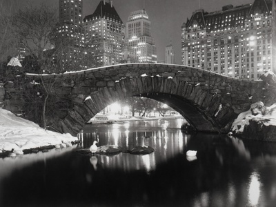 New York Pond in Winter Stretched Canvas Print