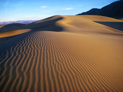 Sand Dunes in Death Valley Stretched Canvas Print
