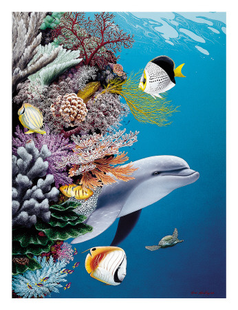 Dolphin’s Reef, Hawaii Giclee Print Dolphin’s Reef, Hawaii Giclee Print