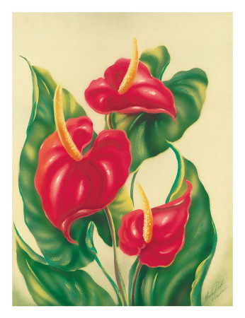Anthurium II, Red Hawaiian Tropical Flowers Giclee Print Anthurium II, Red Hawaiian Tropical Flowers Giclee Print