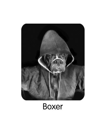 Hooded Boxer Photographic Print Hooded Boxer Photographic Print