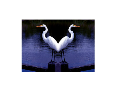 Love Birds Giclee Print Love Birds Giclee Print