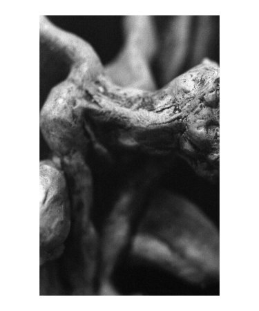 Gargoyle 1.2 Photographic Print Gargoyle 1.2 Photographic Print