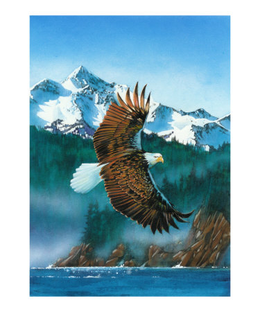 Eagle Giclee Print Eagle Giclee Print
