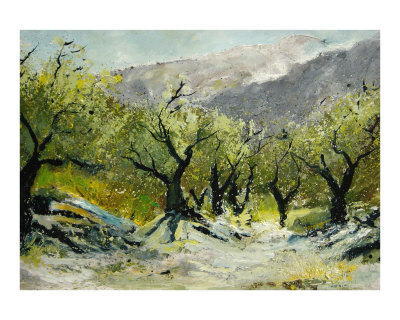 Olivetrees Giclee Print Olivetrees Giclee Print