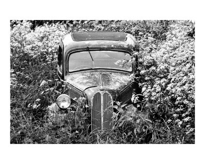 car Photographic Print car Photographic Print