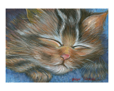 Kitten Sleeping Giclee Print Kitten Sleeping Giclee Print
