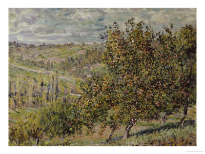 Apple Blossom Giclee Print Apple Blossom Giclee Print