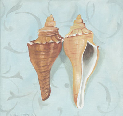 Melongina Shells Print Melongina Shells Print