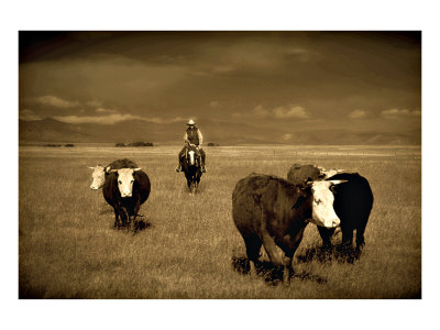 Cowboy Face Off Giclee Print Cowboy Face Off Giclee Print