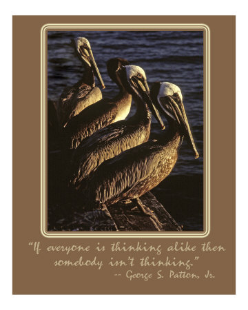 Thinking Alike Photographic Print Thinking Alike Photographic Print