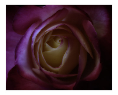 Midnight Blue Photographic Print Midnight Blue Photographic Print