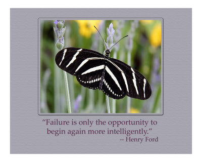 Failure Photographic Print Failure Photographic Print