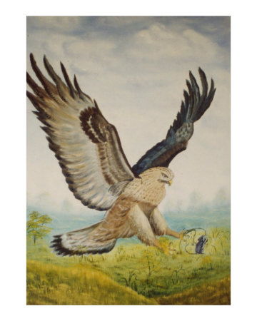 Hawk and the Mouse Giclee Print Hawk and the Mouse Giclee Print