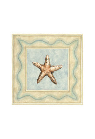 Shell Collector III Print Shell Collector III Print