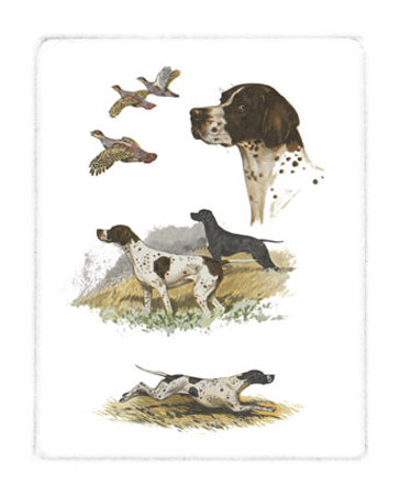 Pointer Print Pointer Print