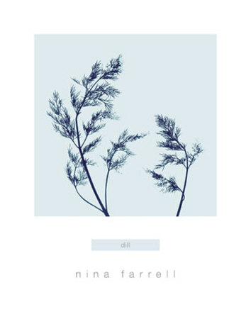 Dill Print Dill Print