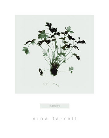 Parsley Print Parsley Print