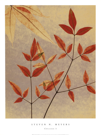 Collage I Print Collage I Print