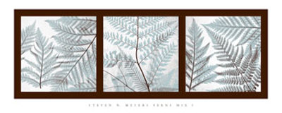 Ferns Mix I Print Ferns Mix I Print