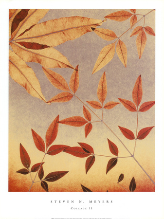 Collage II Print Collage II Print