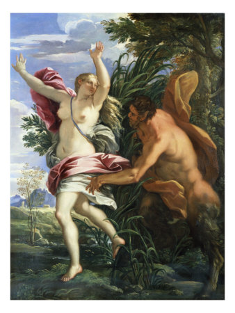  syrinx