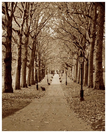 Autumn Stroll II Print Autumn Stroll II Print