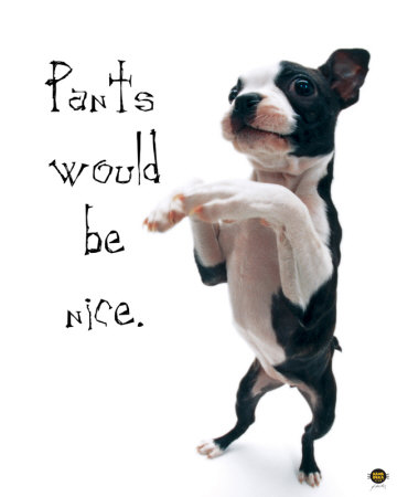 Pants Would Be Nice Print Pants Would Be Nice Print