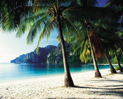 Tonsai Beach, Phi Phi Islands,