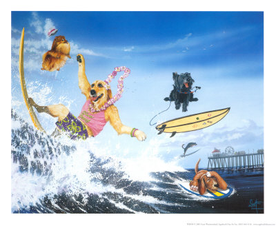 Diva Dawg Print Diva Dawg Print