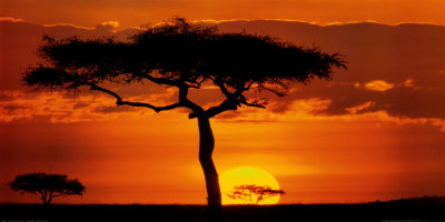 james-urbach-masai-mara-plains-kenya.jpg