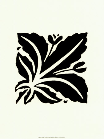 Graphic Beauty I Print Graphic Beauty I Print