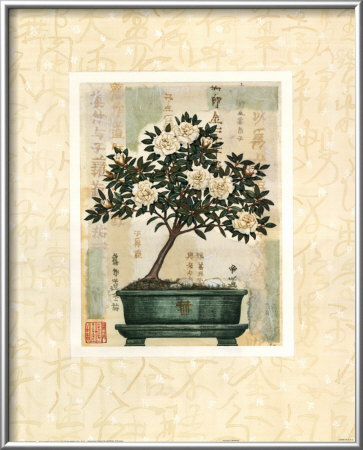 Azalea Bonsai Framed Print Azalea Bonsai Framed Print
