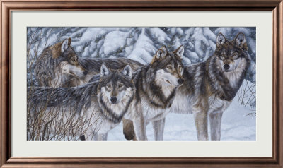 Ever Watchful Framed Print Ever Watchful Framed Print