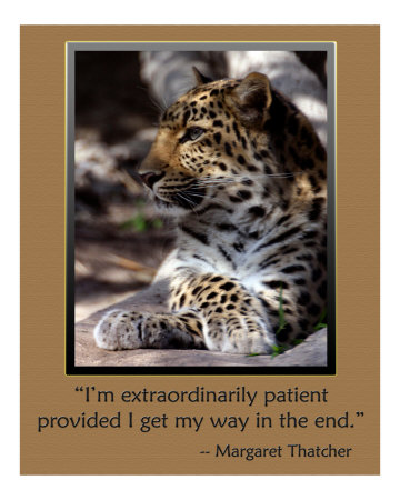 258W Patience Photographic Print 258W Patience Photographic Print