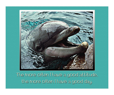 257W Good Attitude Photographic Print 257W Good Attitude Photographic Print