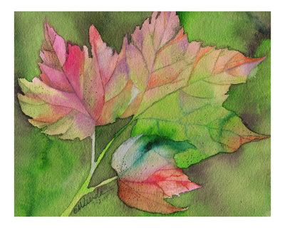 Napa Fall Giclee Print Napa Fall Giclee Print