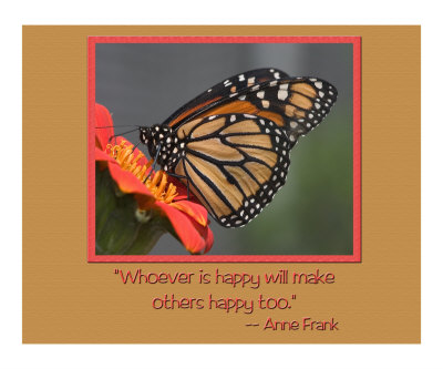 256W Happiness Photographic Print 256W Happiness Photographic Print