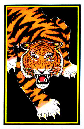Tiger Attack Poster Tiger Attack Poster