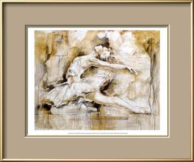Swan Lake Framed Print Swan Lake Framed Print