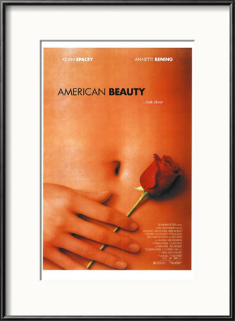 American Beauty Framed Print American Beauty Framed Print