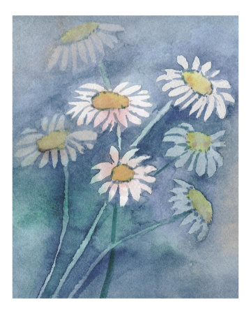 Daisies Giclee Print Daisies Giclee Print