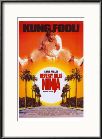 Beverly Hills Ninja Framed Print Beverly Hills Ninja Framed Print