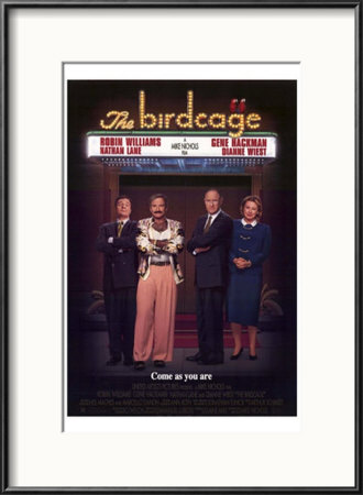 Birdcage Framed Print Birdcage Framed Print