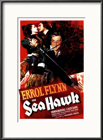 Sea Hawk Framed Print Sea Hawk Framed Print